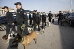 Police lead their dogs at Tiananmen Square during the closing session of the National People's Congress (NPC), or parliament, at the Great Hall of the People in Beijing March 15, 2015. REUTERS/Iris Zhao