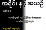 “အရုိင္း”ႏွင့္ “အယဥ္” (အပိုင္း-၂) လူကုန္ကူးႏွင့္ ကၽြန္ျပဳခိုင္းေစ ခံေနရေသာ ျမန္မာမ်ား