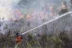 An officer from the local Disaster Management Agency (BPBD) attempts to extinguish a fire in Sei Rambutan, Ogan Ilir, South Sumatra September 16, 2015 in this photo taken by Antara Foto. A worsening haze across northern Indonesia, neighbouring Singapore and parts of Malaysia on Tuesday forced some schools to close and airlines to delay flights, while Indonesia ordered a crackdown against lighting fires to clear forested land. REUTERS/Nova Wahyudi/Antara Foto ATTENTION EDITORS - THIS IMAGE HAS BEEN SUPPLIED BY A THIRD PARTY. IT IS DISTRIBUTED, EXACTLY AS RECEIVED BY REUTERS, AS A SERVICE TO CLIENTS. FOR EDITORIAL USE ONLY. NOT FOR SALE FOR MARKETING OR ADVERTISING CAMPAIGNS MANDATORY CREDIT. INDONESIA OUT. NO COMMERCIAL OR EDITORIAL SALES IN INDONESIA.