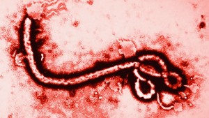 ebola