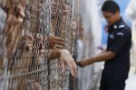 **ADVANCE FOR SUNDAY, AUG. 16** In this photo taken on Thursday, July 23, 2009, an immigration department guard locks a gate for detainees at the Lenggeng detention center, south of Kuala Lumpur, Malaysia. The choice is a tough one _ face the possibility of being sold by an unscrupulous agent or linger in an overcrowded detention center. As Malaysia is cracking down on human trafficking _ following a critical U.S. government report _ the well-intentioned steps are hurting some they are supposed to help. (AP Photo/Mark Baker)